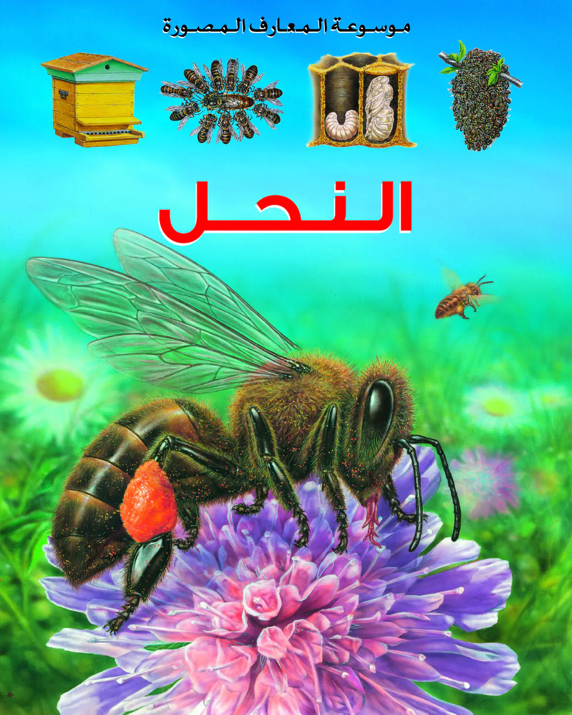 موسعة المعارف المصورة