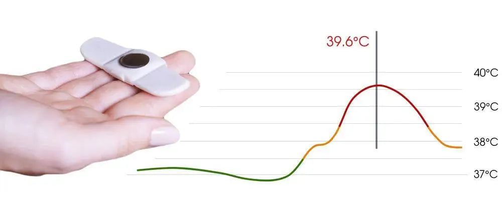 Pack thermomètre connecté avec Recharge de 15 adhésifs - Image #3