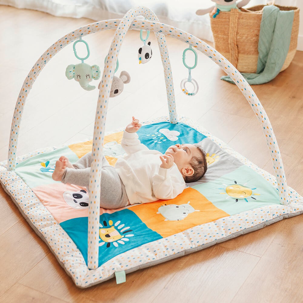 CUCU BABY ACTIVITY GYM