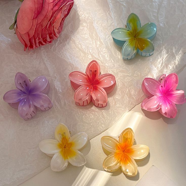 2 Mini pince À Cheveux Fleur