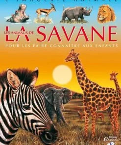 LA GRANDE IMAGERIE